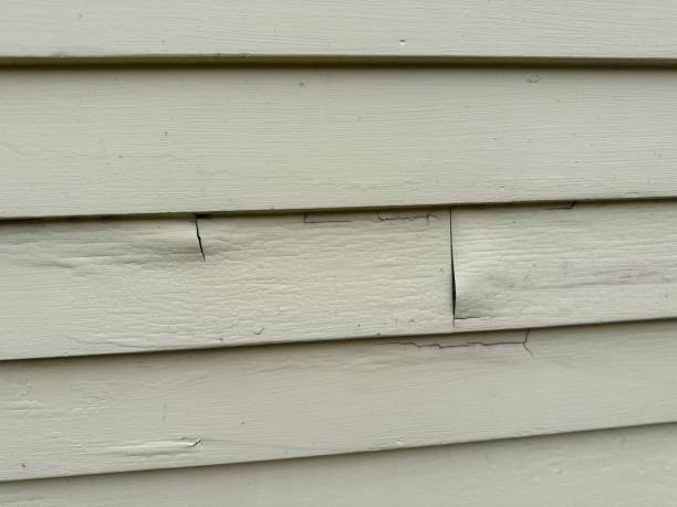 Shed Removal in Jefferson City, TN